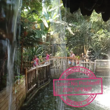 Siesta Panzio Sosto Bed & Breakfast Nyiregyhaza